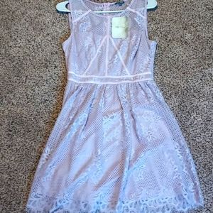 Ladies Lily Rose dress w tags